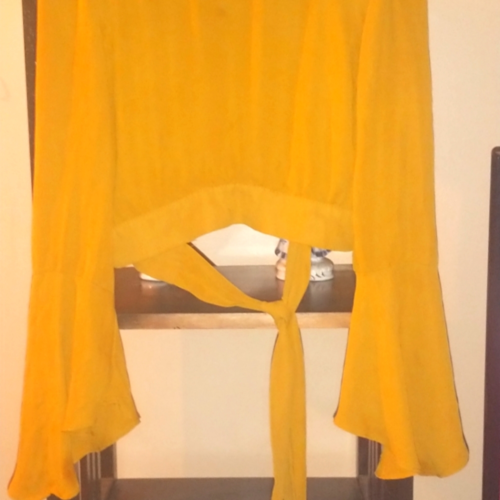 Beautiful SEDUCTION flared sleeve open back tie back crop top